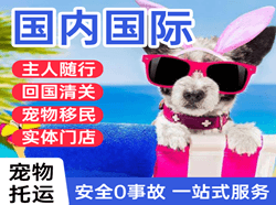 海西花土沟机场托运国际宠物托运 【国